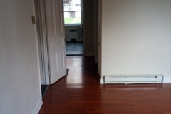 IMG_20091231_203716_2